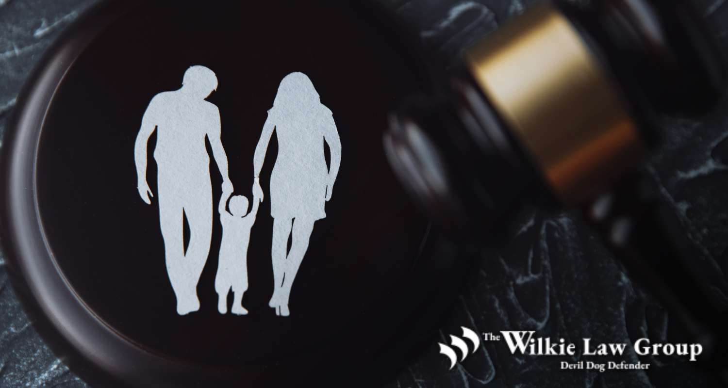 North Carolina Adoption Attorneys